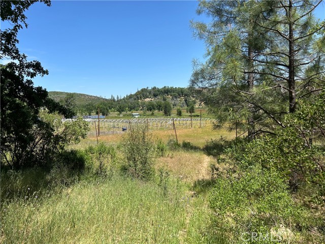 12345 Seigler canyon rd, Middletown