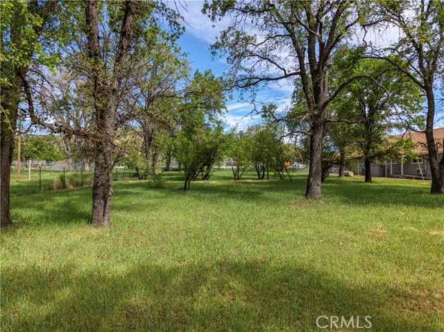 14650 Olympic Drive, Clearlake