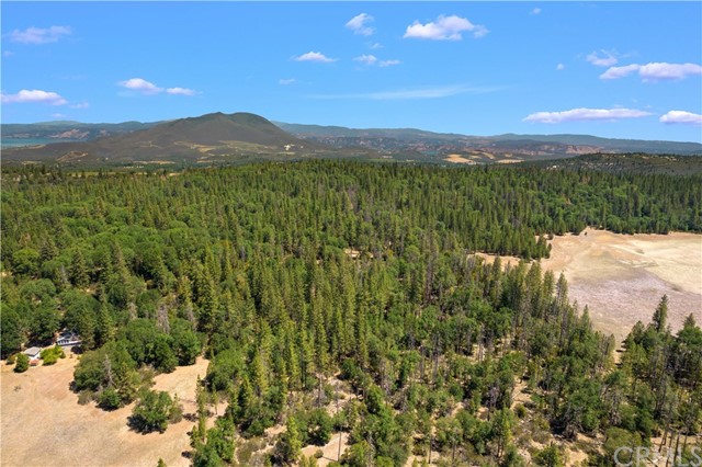6736 Harrington Flat Road, Loch Lomond