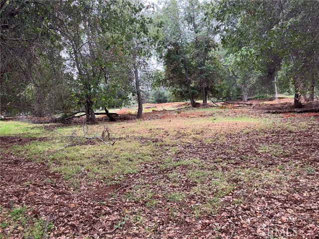 3153 Southlake Drive, Kelseyville