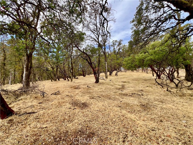 2595 Eastlake Drive, Kelseyville