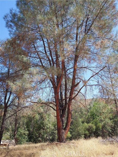 17750 Pomo, Clearlake Oaks