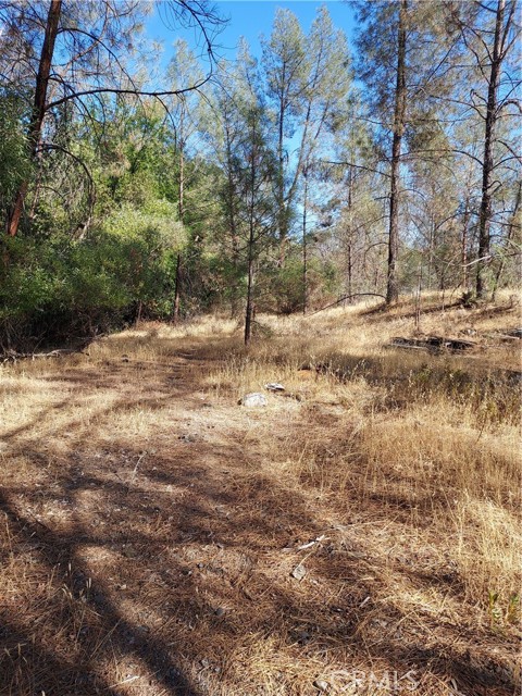 17750 Pomo, Clearlake Oaks