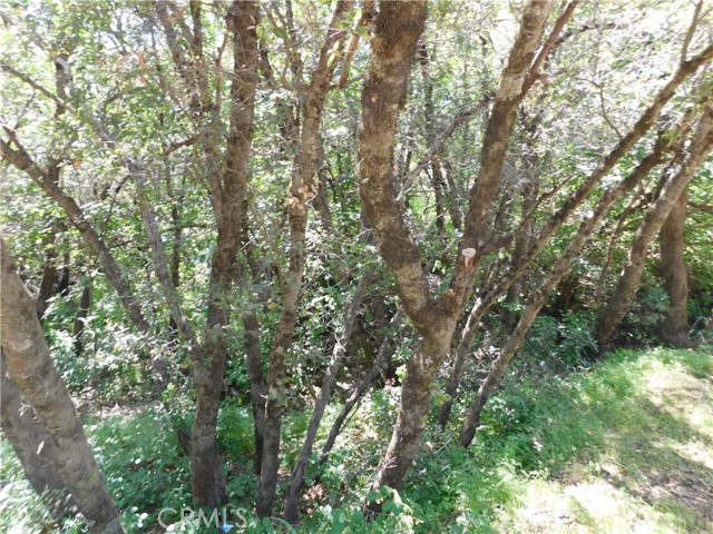 15773 39th Avenue, Clearlake