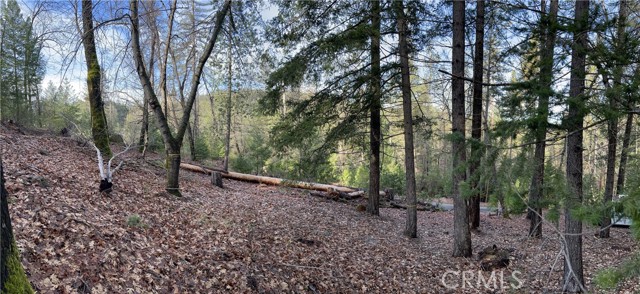 10280 Mulberry Street, Loch Lomond