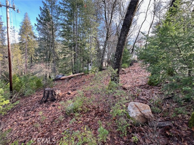 10280 Mulberry Street, Loch Lomond