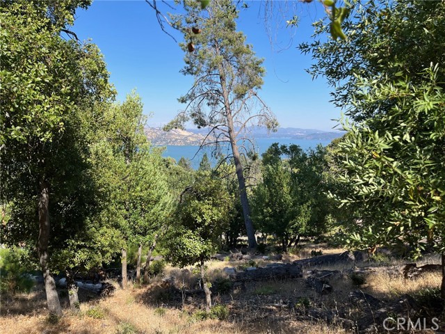 3599 Pine Terrace Drive, Kelseyville