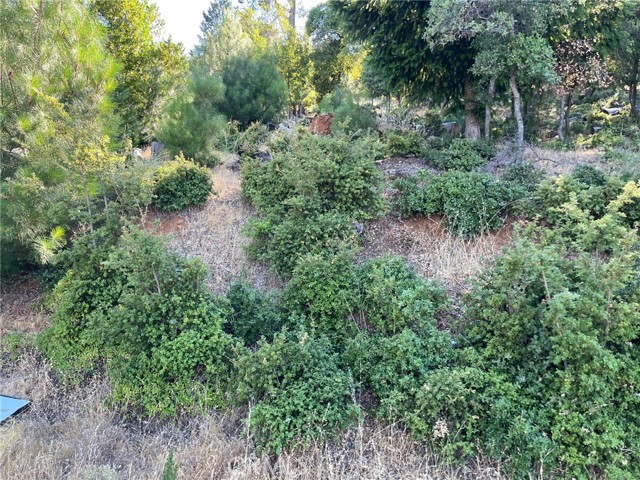 3599 Pine Terrace Drive, Kelseyville