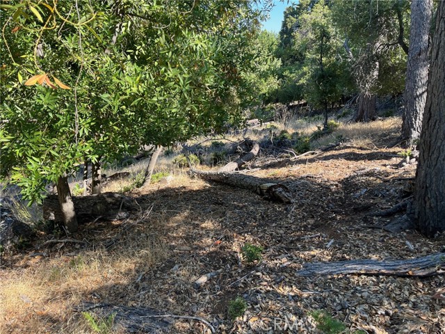 3607 Pine Terrace Drive, Kelseyville