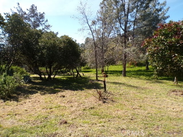 11083 Wheeler, Kelseyville