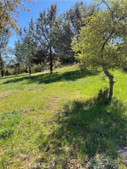 10715 Point Lakeview Road, Kelseyville