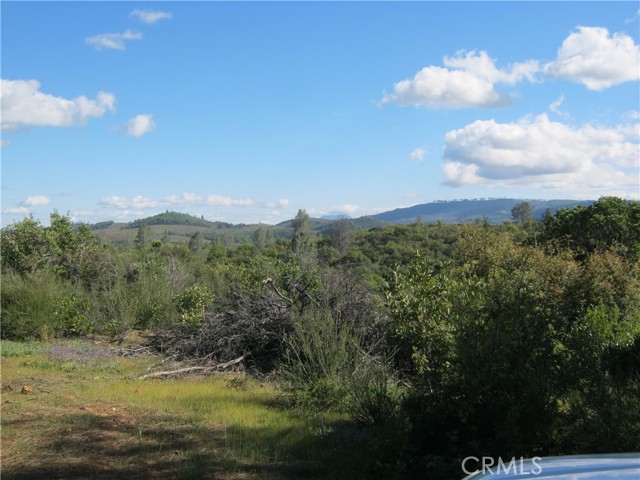 9070 S State Hwy 29, Lower Lake