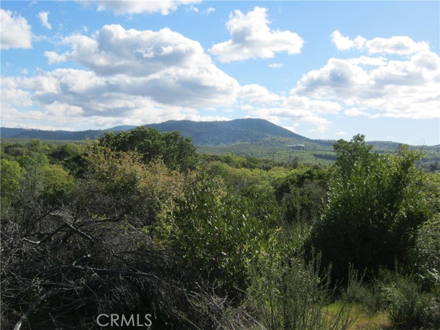 9070 S State Hwy 29, Lower Lake