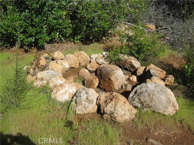 9070 S State Hwy 29, Lower Lake