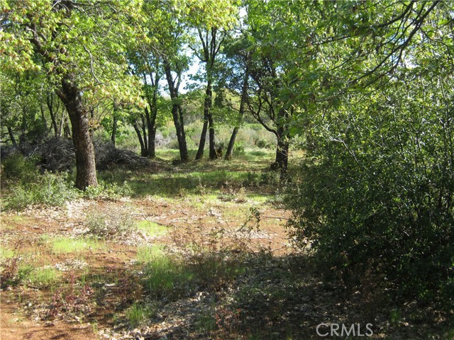 9070 S State Hwy 29, Lower Lake