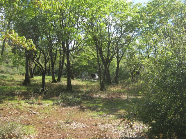 9070 S State Hwy 29, Lower Lake