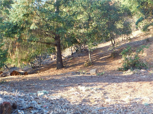 8431 Mountain Crest Drive, Kelseyville