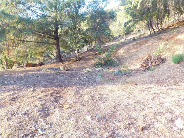 8431 Mountain Crest Drive, Kelseyville
