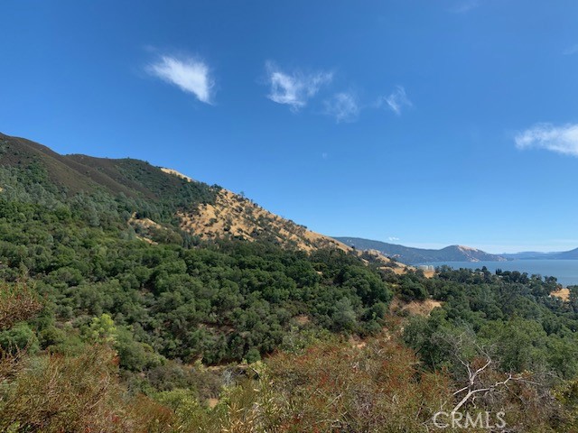 3085 California Street, Nice