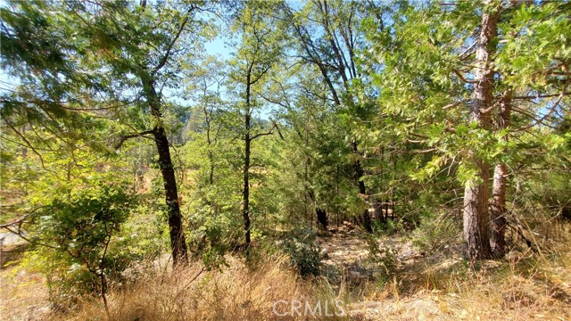 12147 Western Pine Road, Loch Lomond