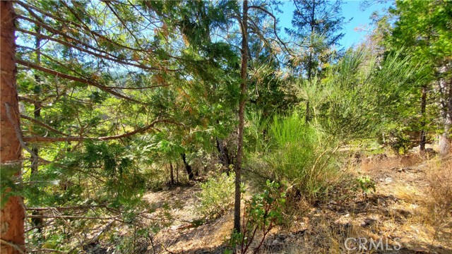 12147 Western Pine Road, Loch Lomond