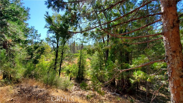 12147 Western Pine Road, Loch Lomond