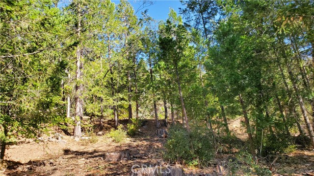 12147 Western Pine Road, Loch Lomond