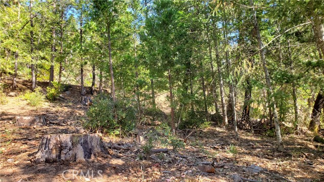 12147 Western Pine Road, Loch Lomond