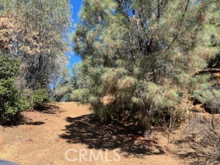 48 Sandalwood Court, Clearlake Oaks