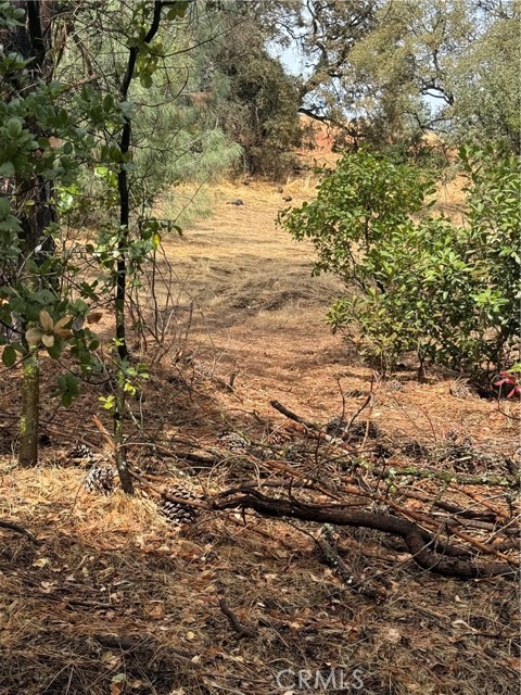 12508 Lakeview Drive, Clearlake Oaks