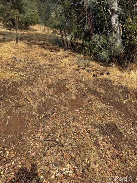 12504 Lakeview Drive, Clearlake Oaks