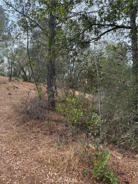 3475 Garfield Avenue, Clearlake