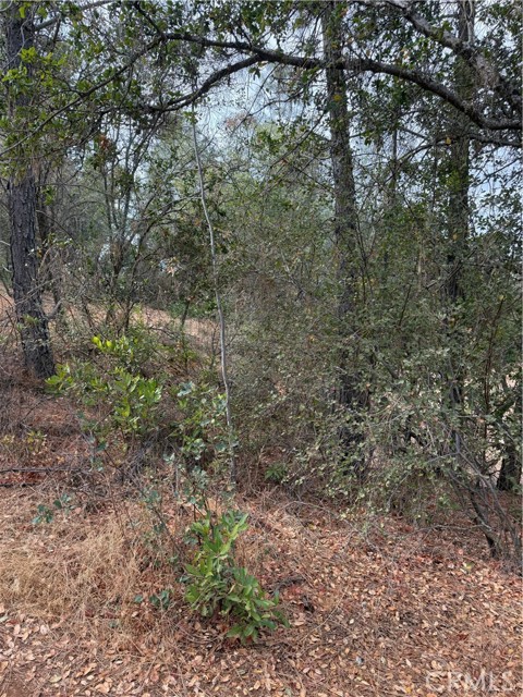 3475 Garfield Avenue, Clearlake