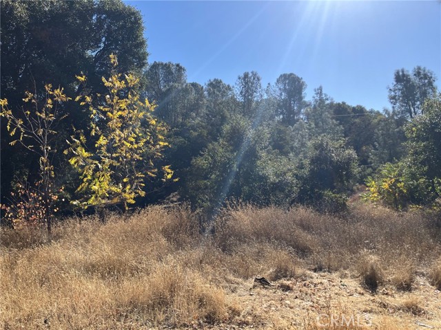 4788 Yarrington Court, Clearlake