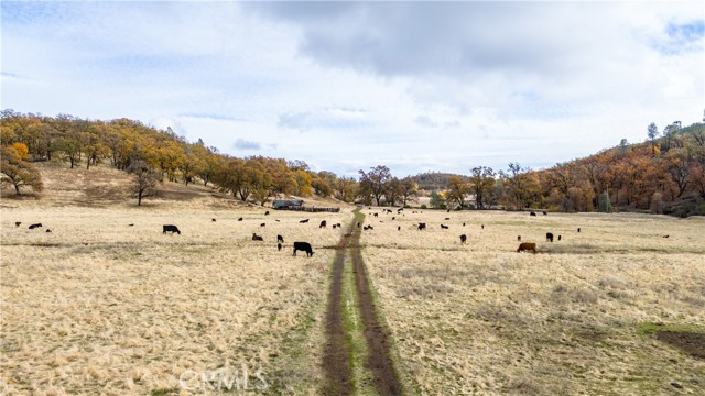 11158 Rocky Creek Road, Lower Lake