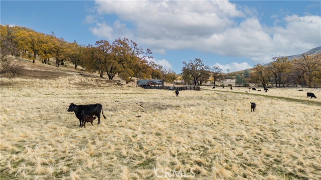 11158 Rocky Creek Road, Lower Lake