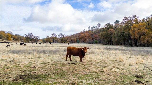 11158 Rocky Creek Road, Lower Lake