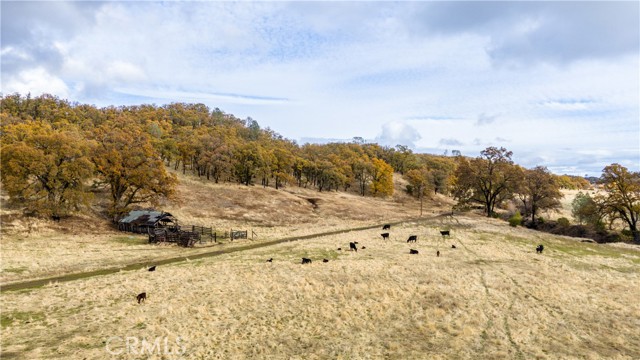 11158 Rocky Creek Road, Lower Lake