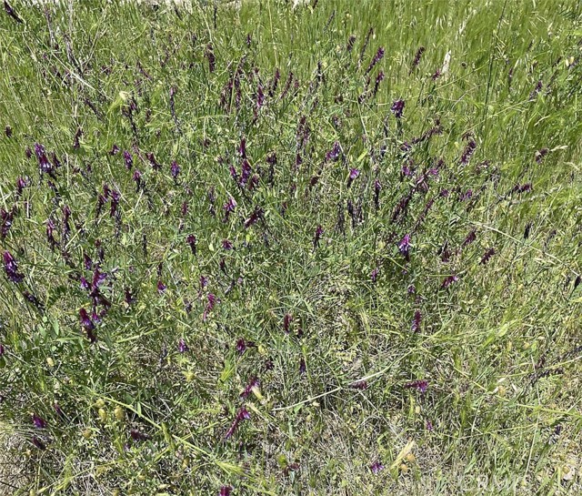 9660 Harrington Flat Road, Loch Lomond