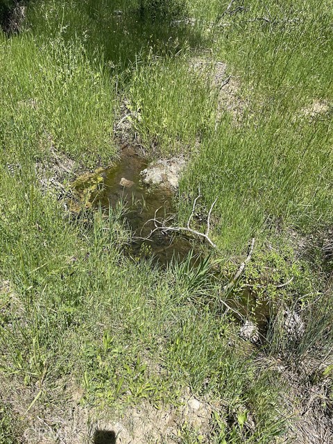 9660 Harrington Flat Road, Loch Lomond