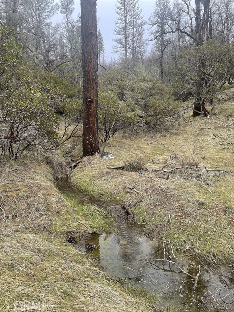 9660 Harrington Flat Road, Loch Lomond