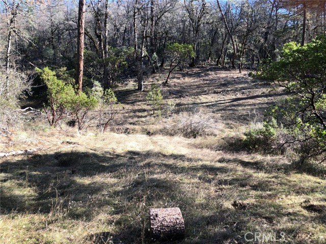 9660 Harrington Flat Road, Loch Lomond