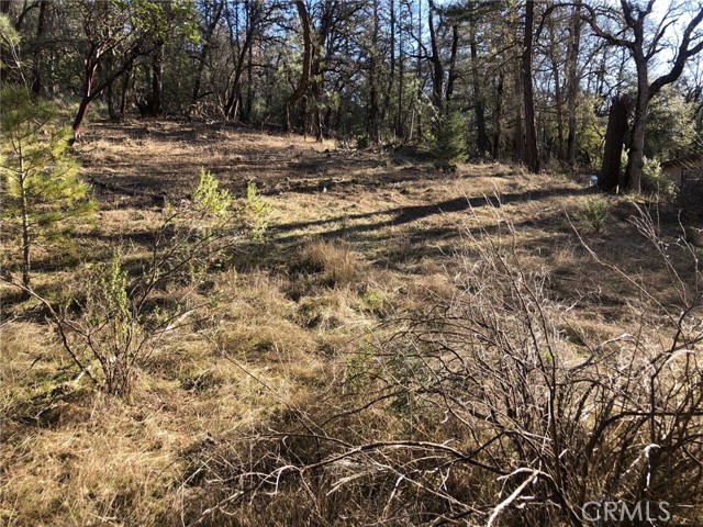 9660 Harrington Flat Road, Loch Lomond