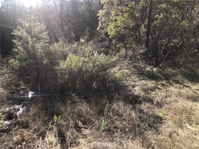 9660 Harrington Flat Road, Loch Lomond