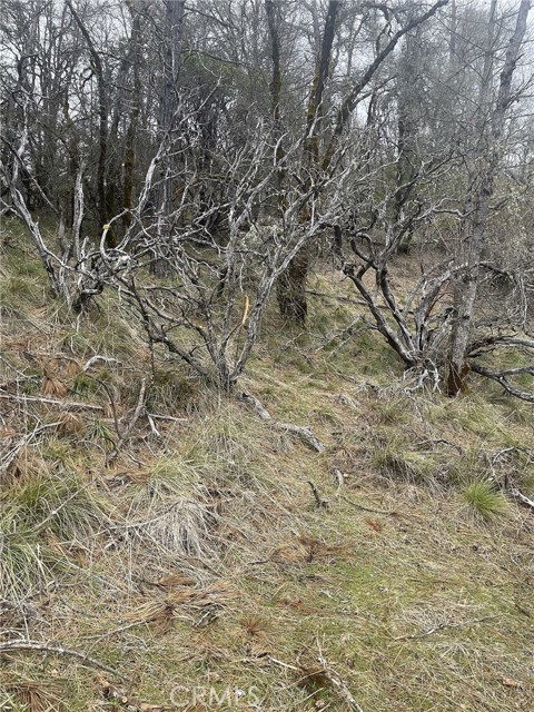 9660 Harrington Flat Road, Loch Lomond