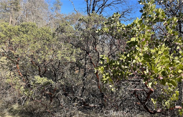 9660 Harrington Flat Road, Loch Lomond