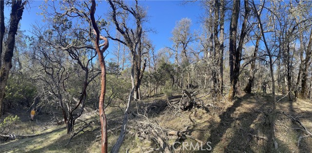 9660 Harrington Flat Road, Loch Lomond