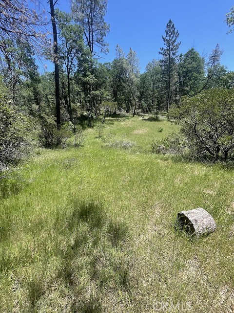 9660 Harrington Flat Road, Loch Lomond