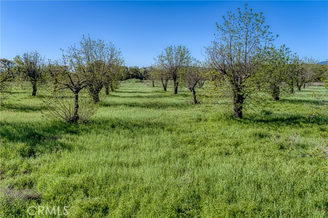 14549 Burns Valley Road, Clearlake