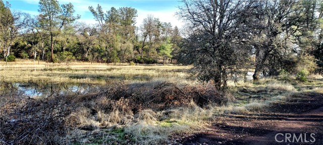 15151 Gray Pine Road, Lower Lake